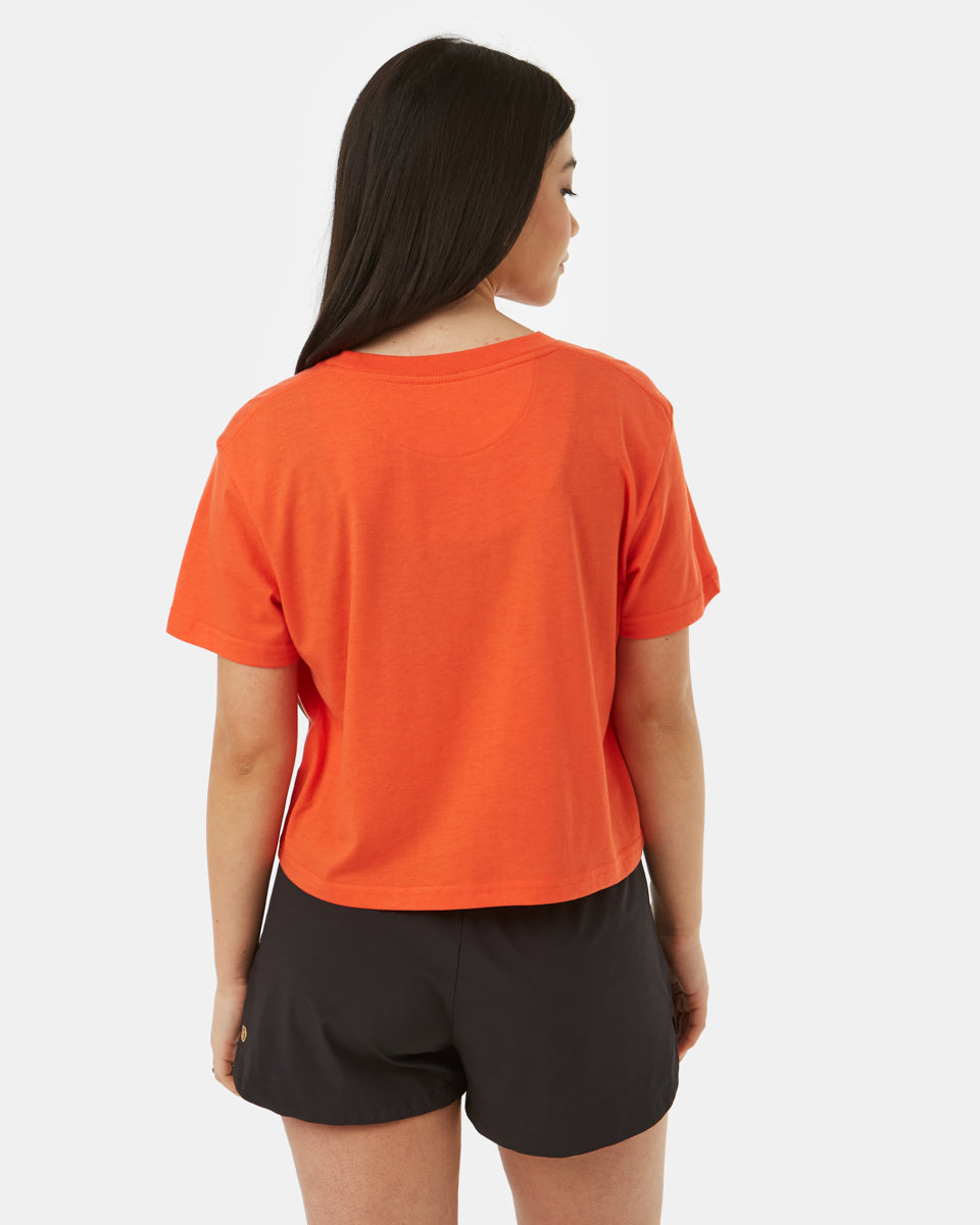 TreeBlend Cropped Relaxed T-Shirt