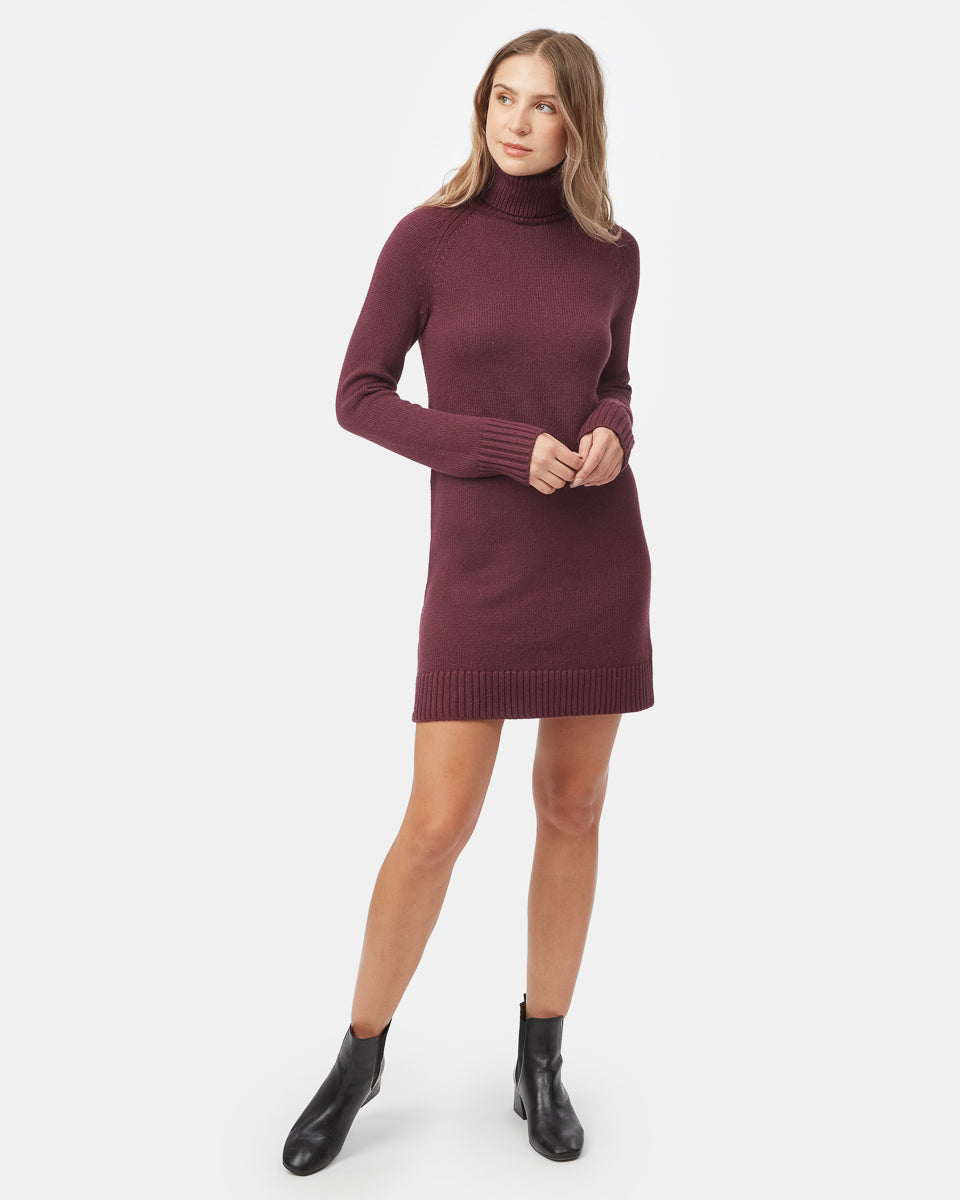 Highline Turtleneck Dress