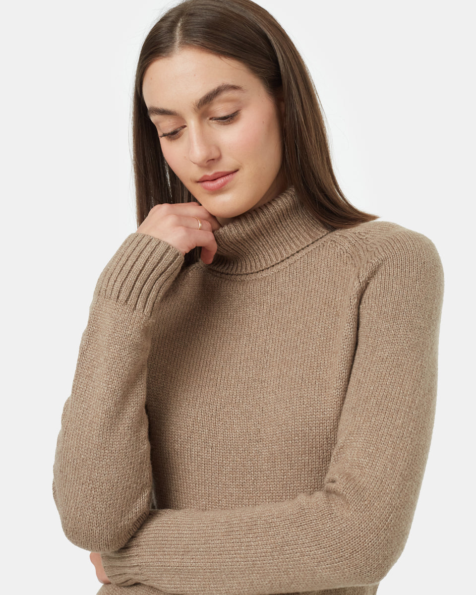 Highline Turtleneck Dress