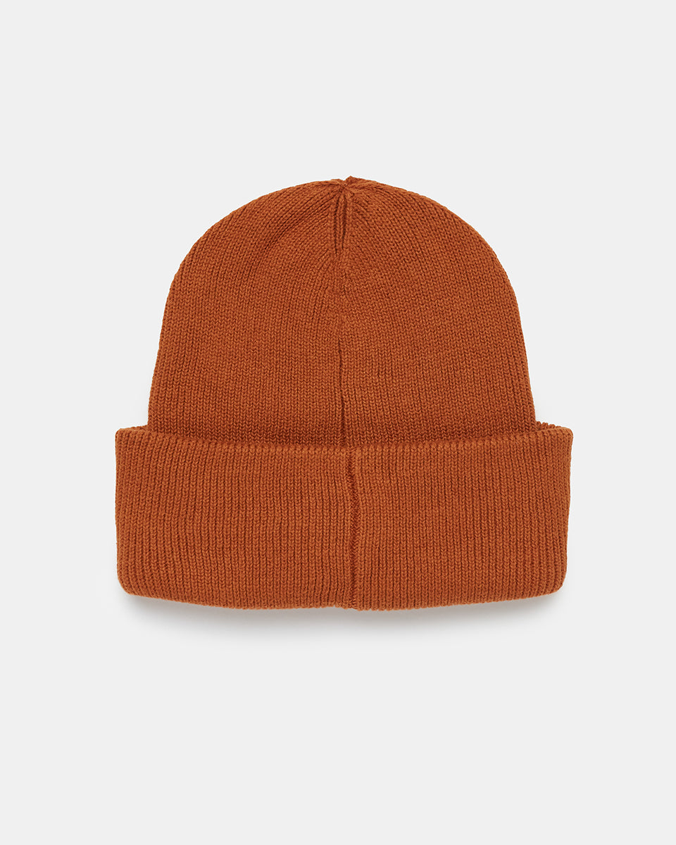 Artist Series Beanie