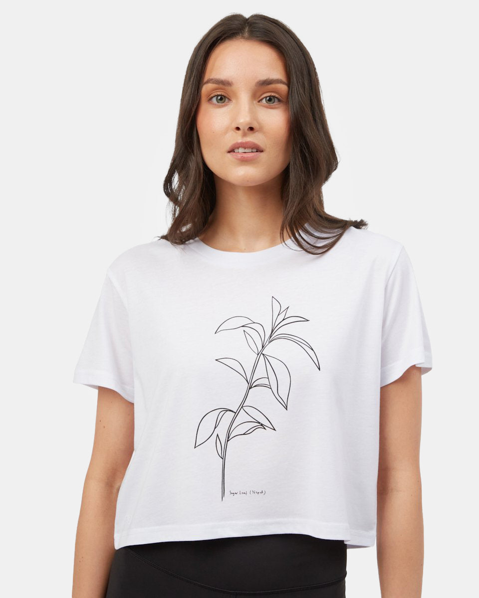 Sugar Leaf Cropped T-Shirt