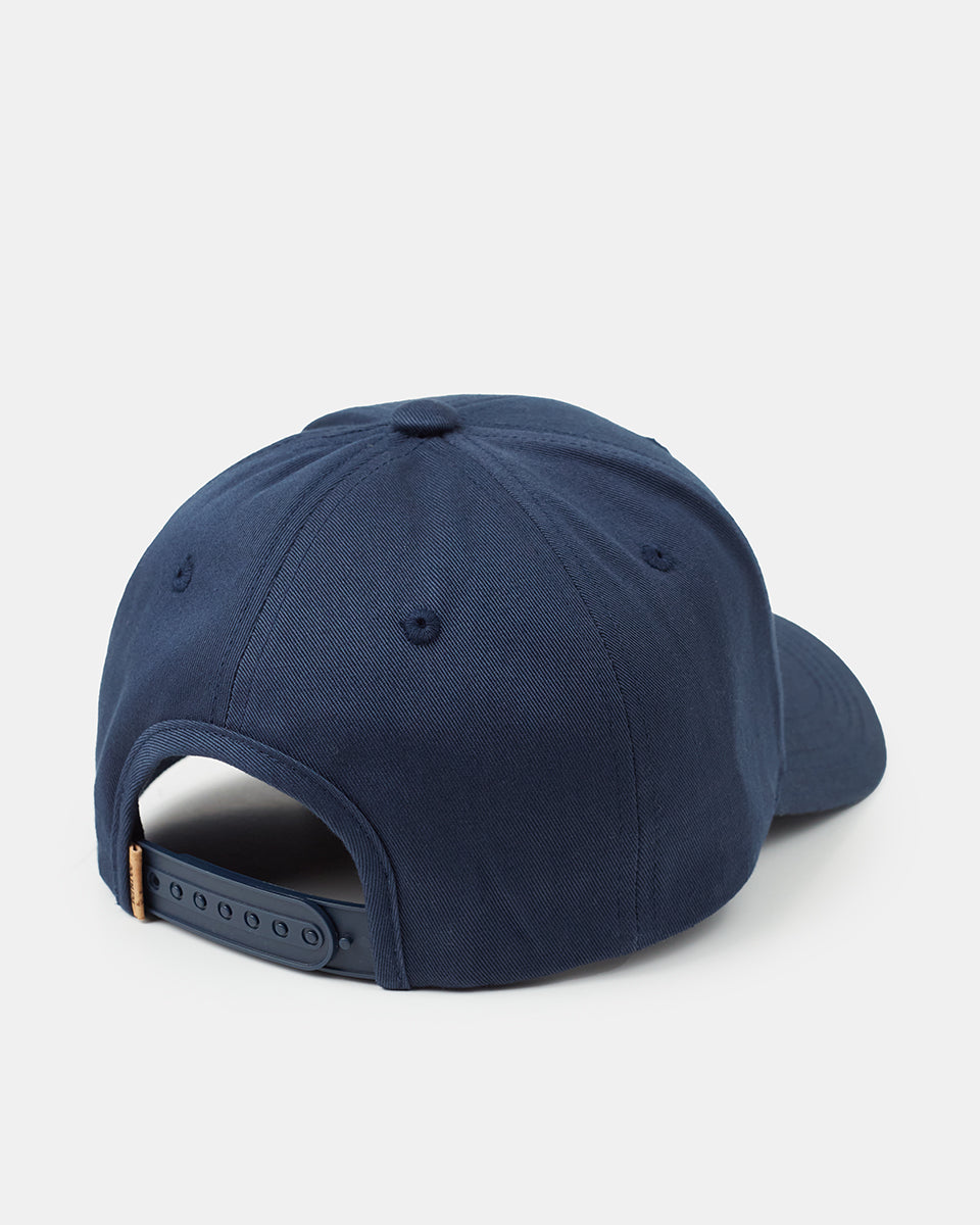 Vintage Tentree Elevation Hat