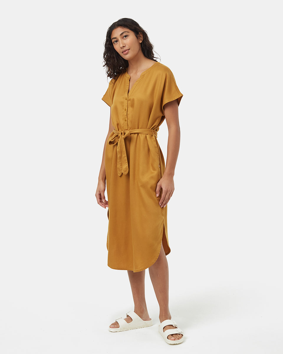 Tencel Shirt Dress