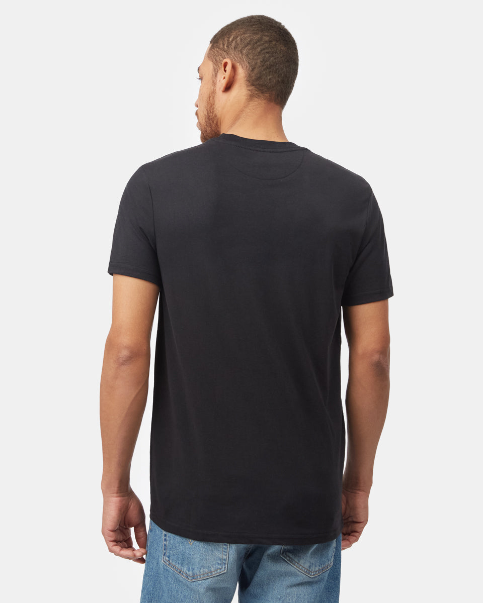 Tentree Mountain T-shirt