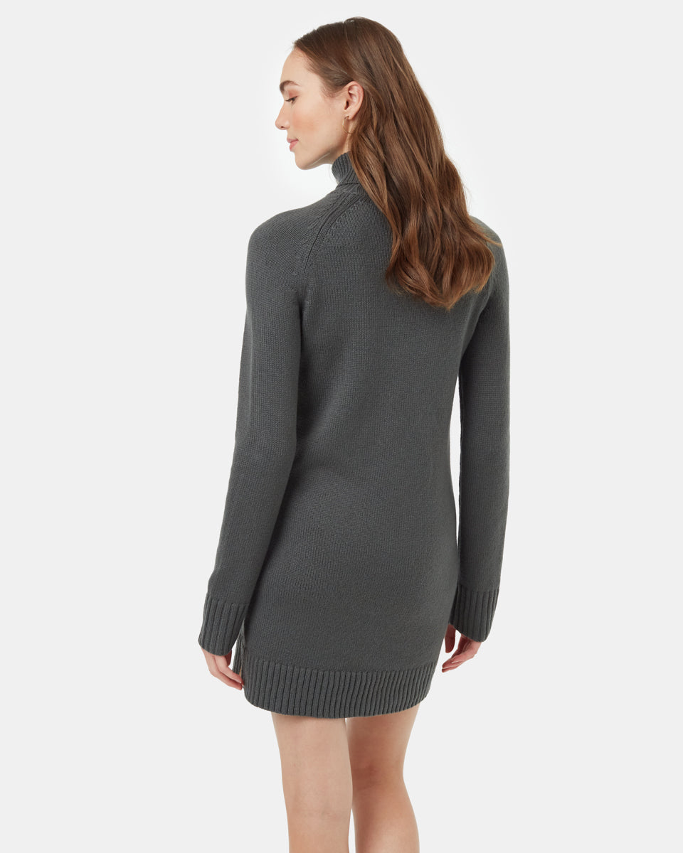 Highline Turtleneck Dress