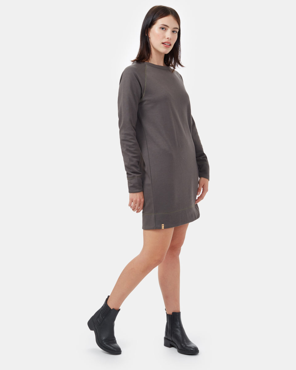 Ponte Raglan Dress