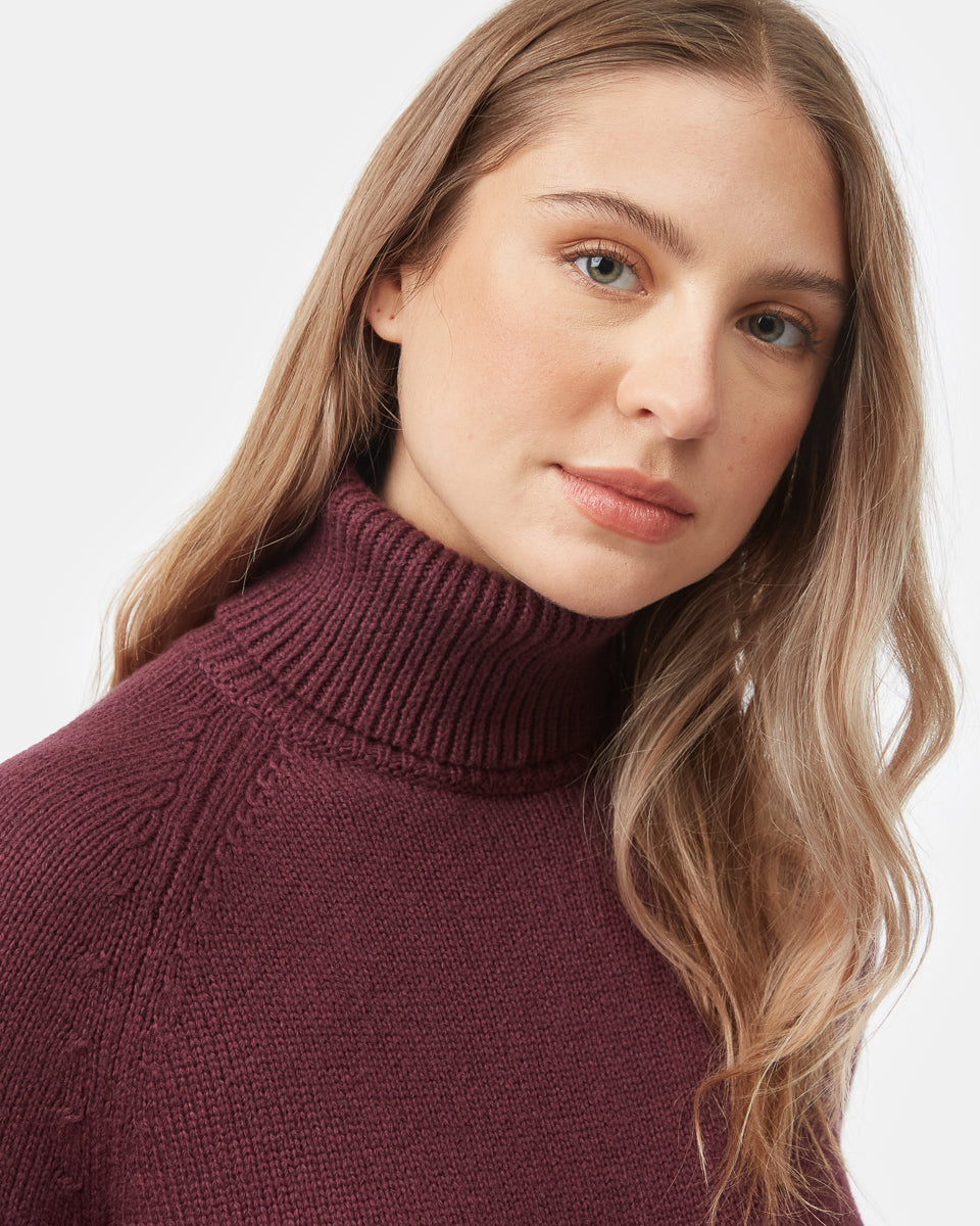 Highline Turtleneck Dress