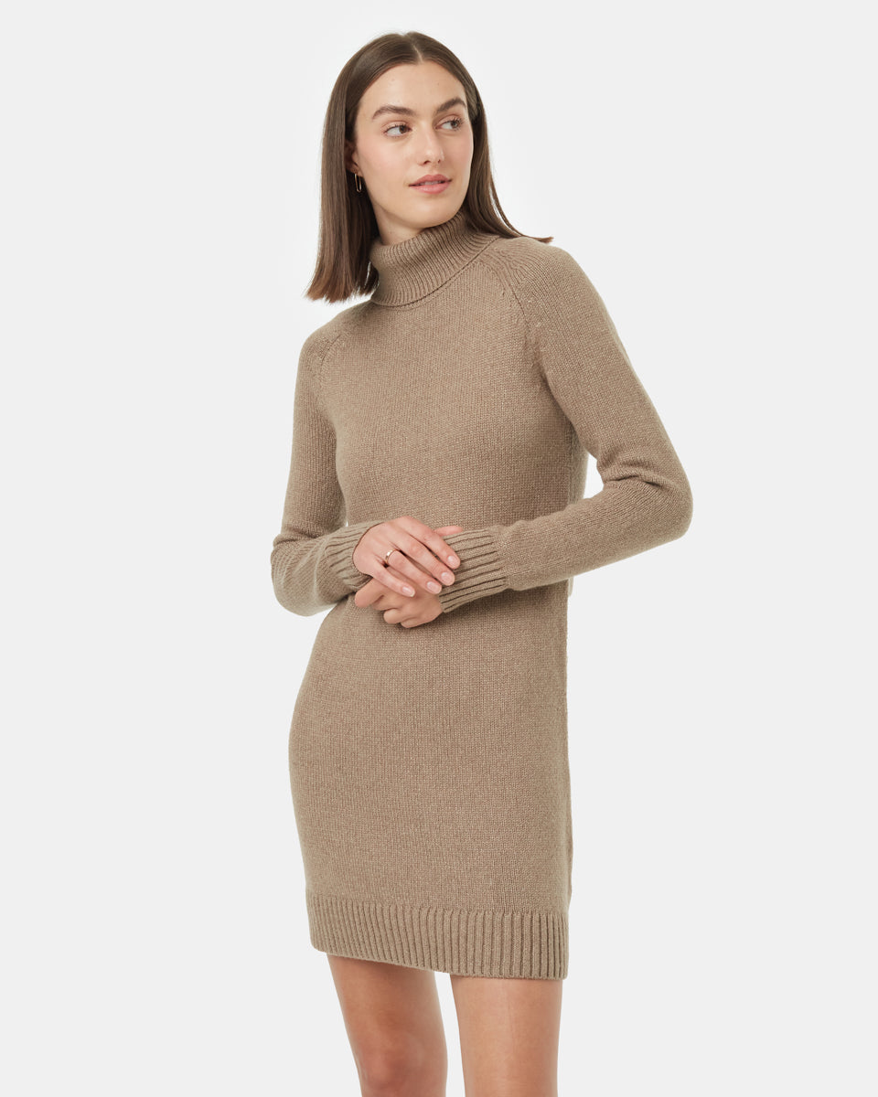 Highline Turtleneck Dress