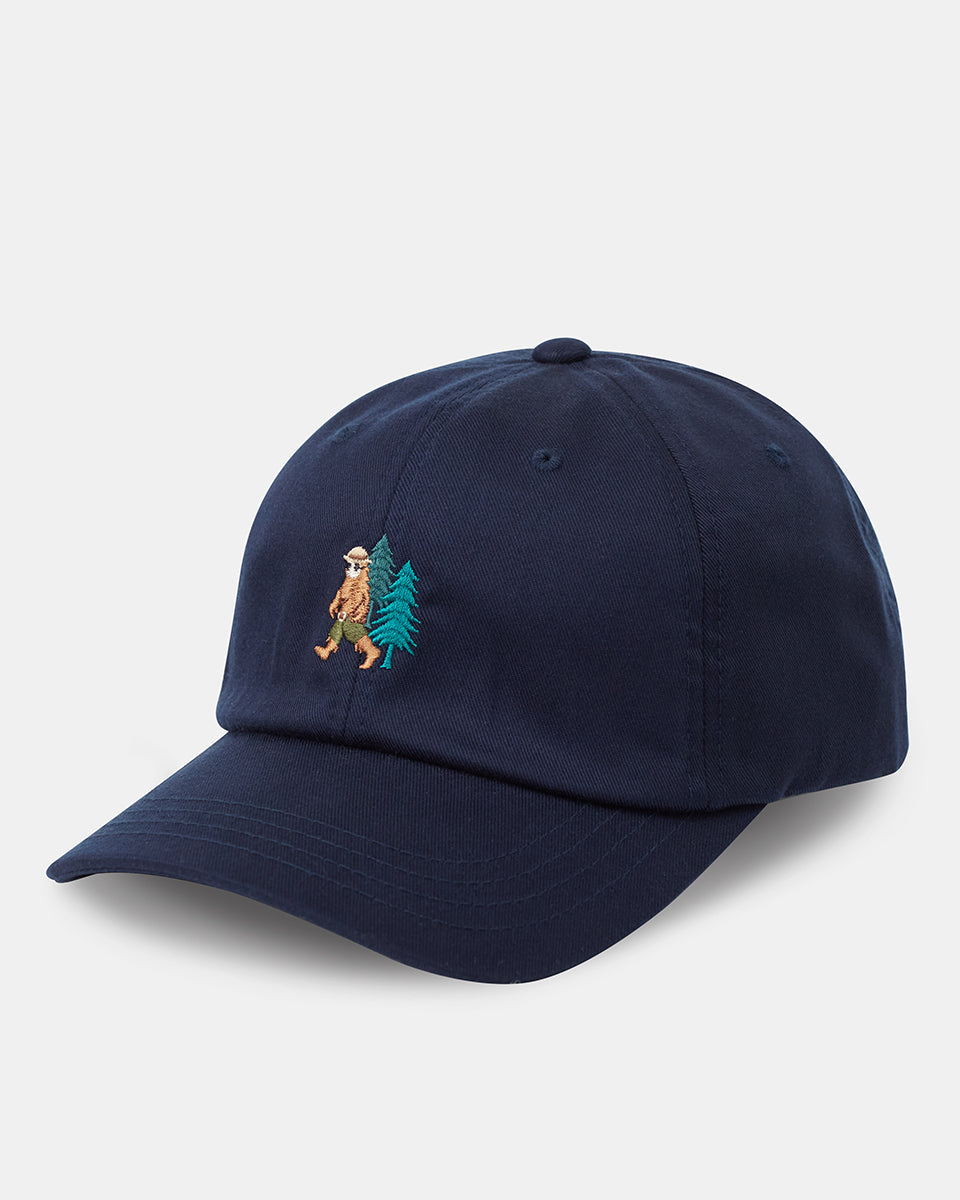 Summer Sasquatch Peak Hat