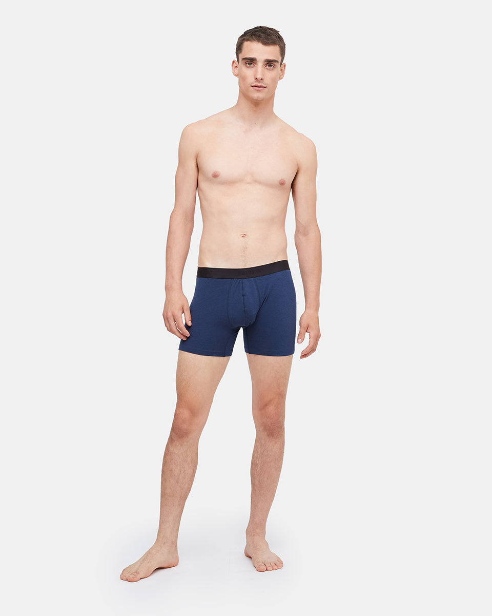 The 5 Boxer Brief