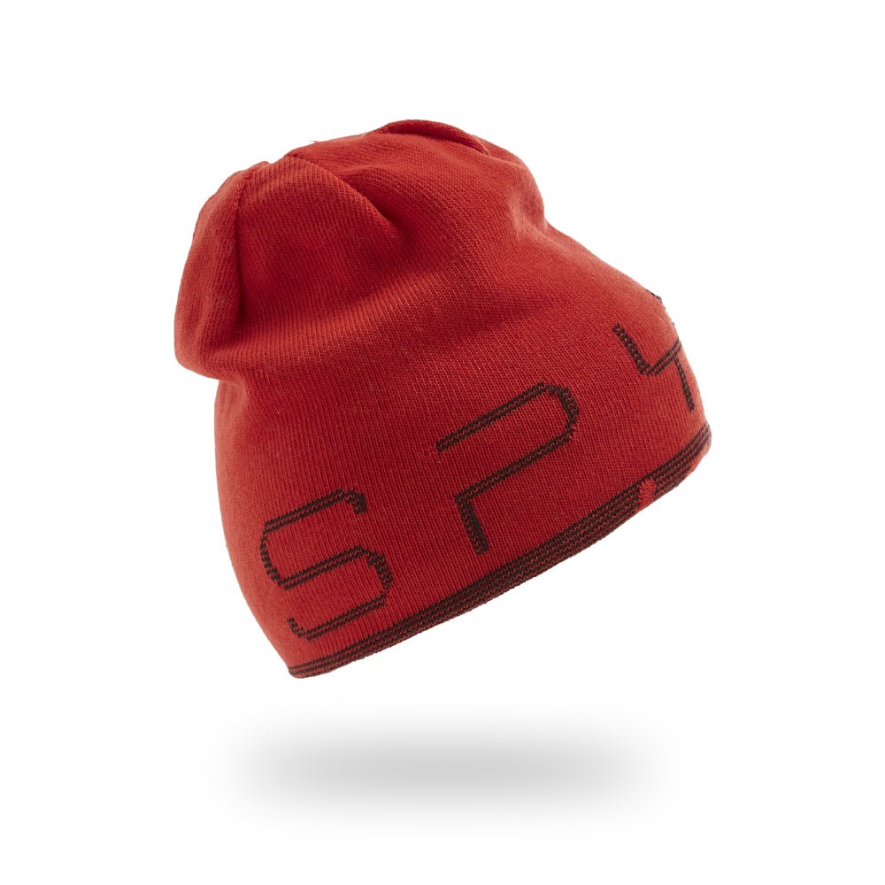 Spyder Reversible Bug Youth Beanie