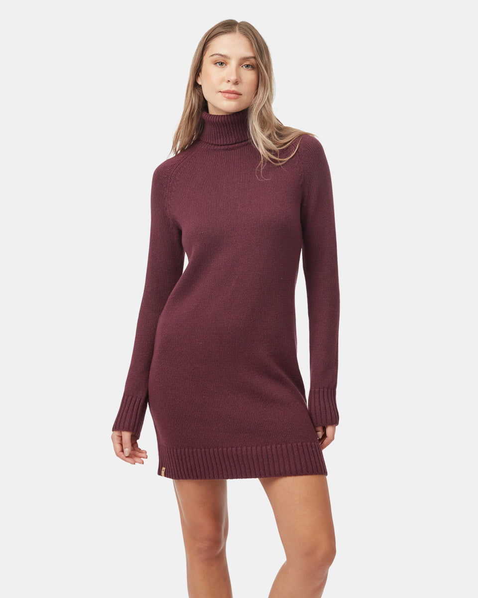 Highline Turtleneck Dress