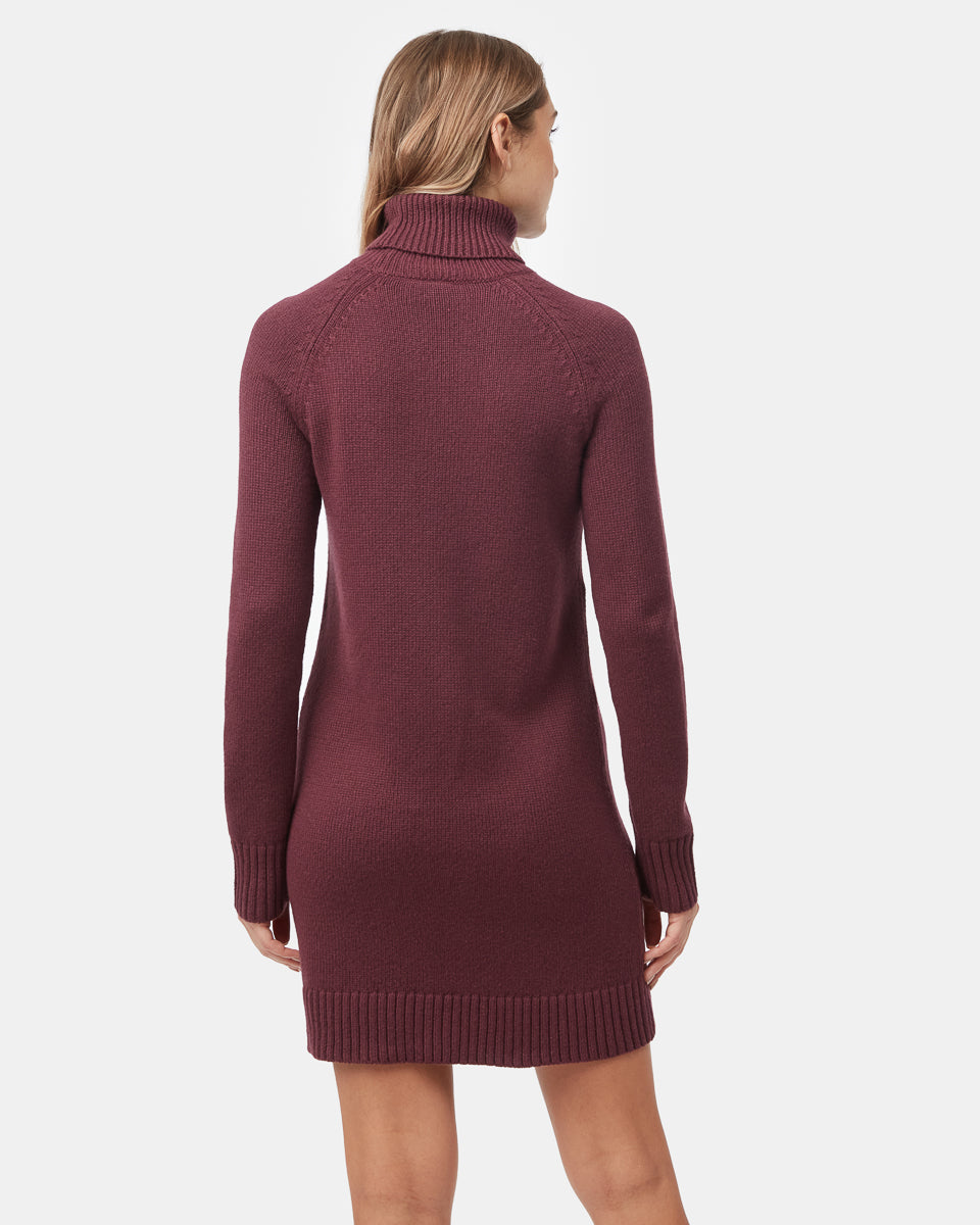 Highline Turtleneck Dress