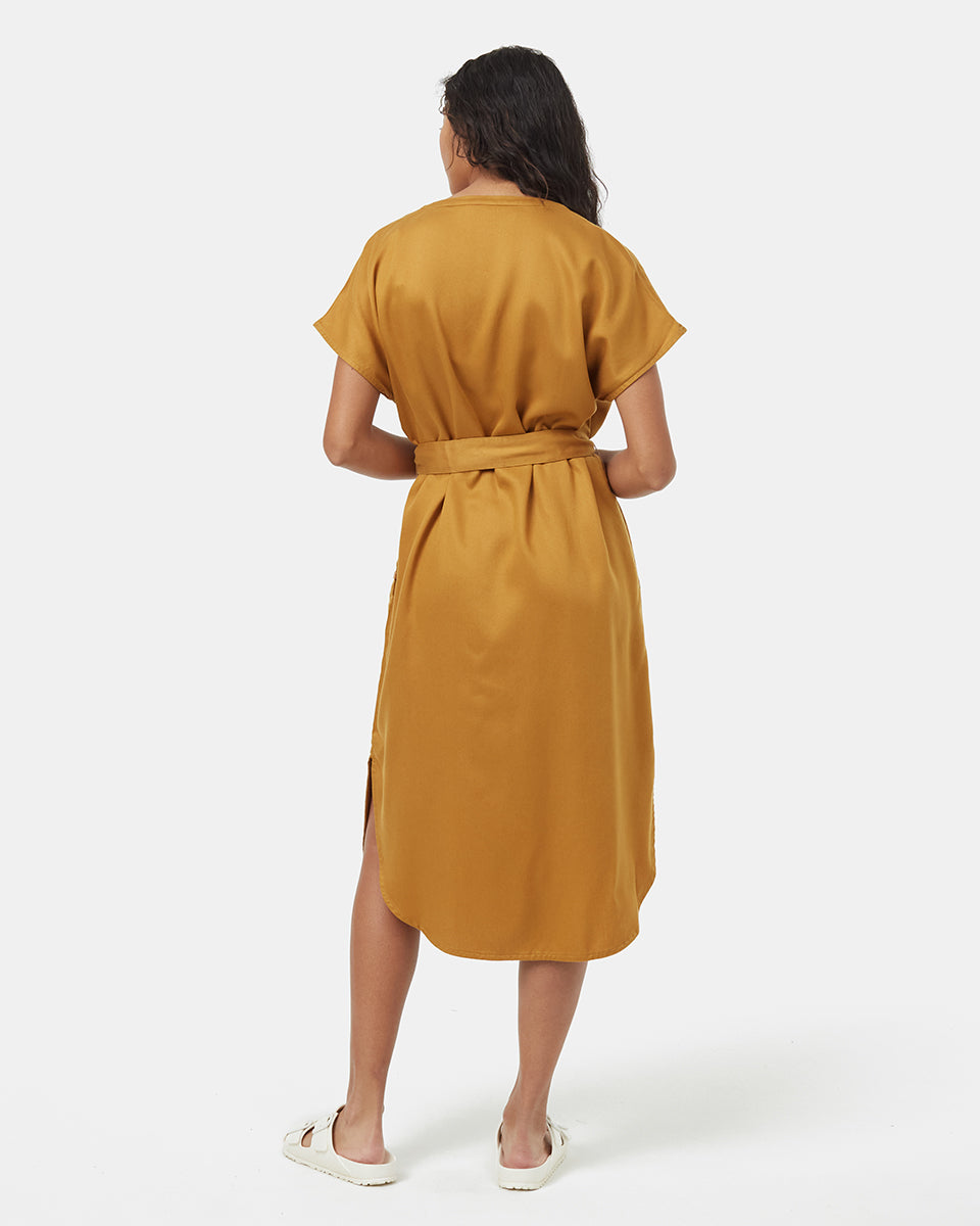 Tencel Shirt Dress